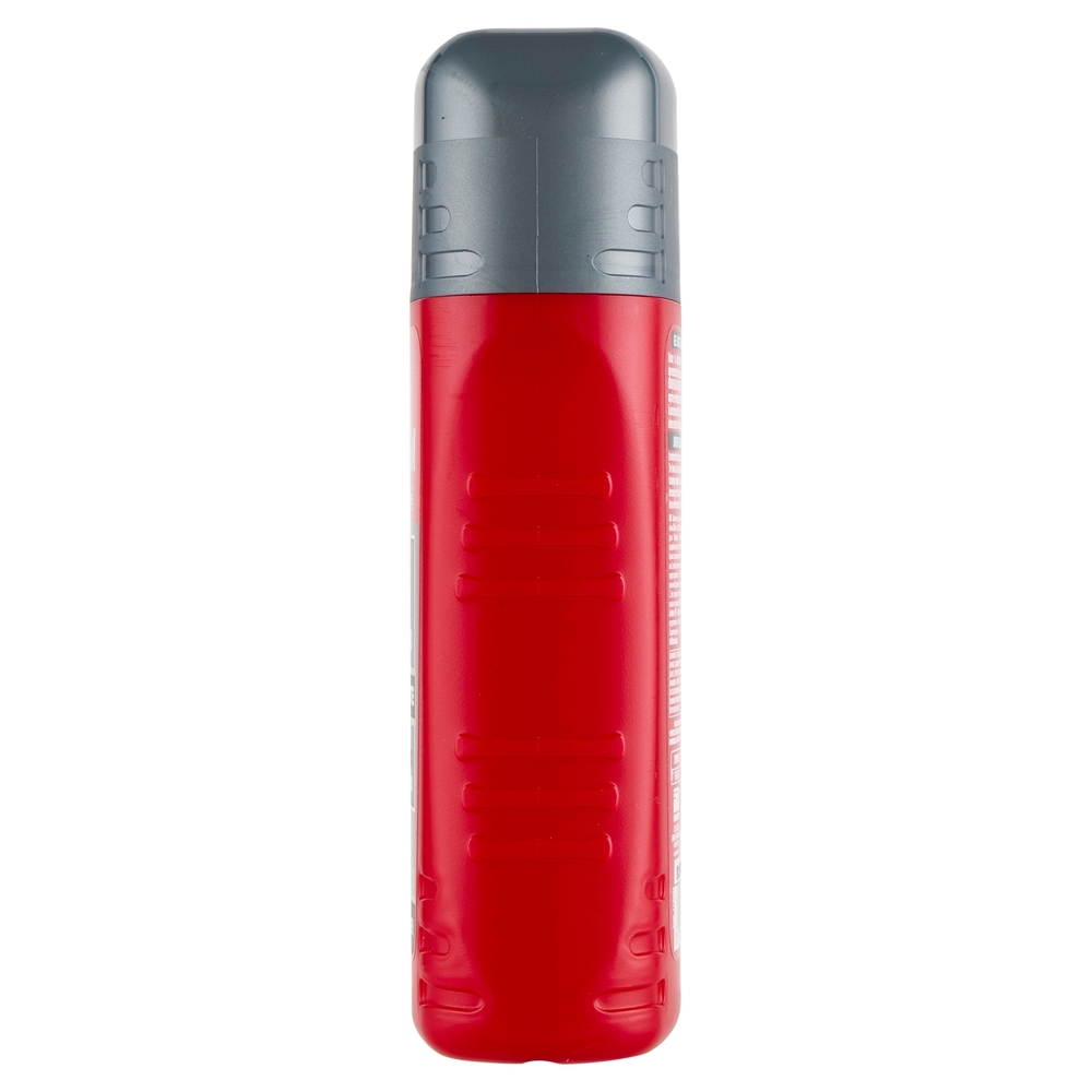 Intesa Pour Homme Gel Doccia Shampoo Rigenerante Essence Power 250 mL